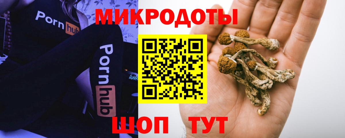 Галлюциногенные грибы MAGIC MUSHROOMS  Галлюциногенные грибы прущие грибы  Зеленогорск  Вход с VPN 